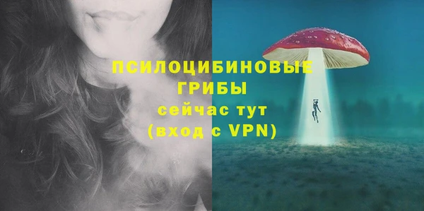амф Абдулино
