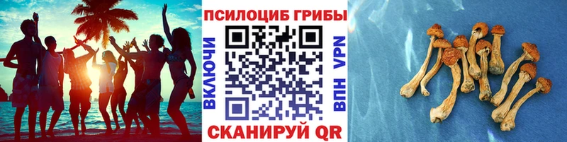 Псилоцибиновые грибы GOLDEN TEACHER  Киренск 